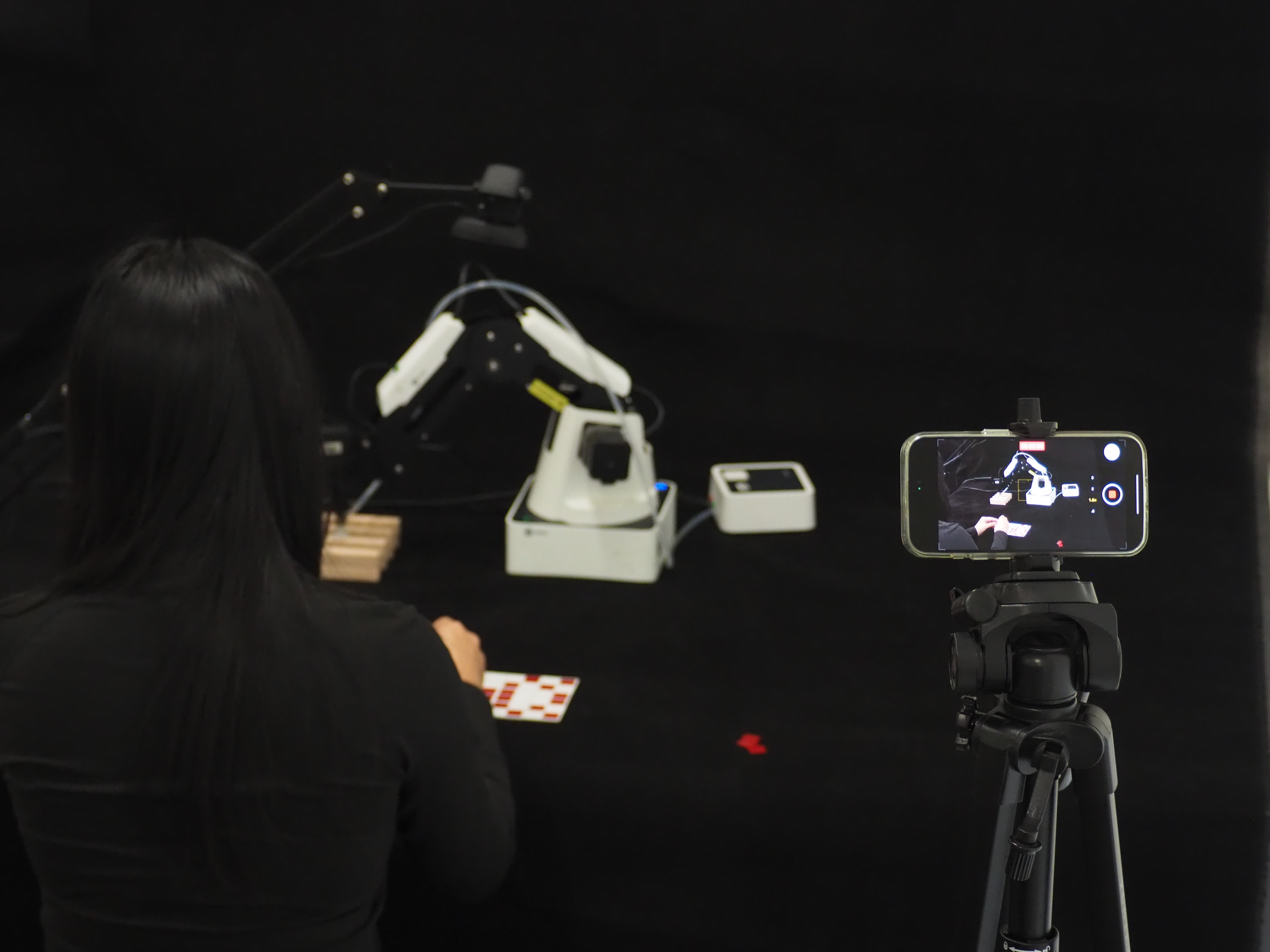 Encoded Elevation - Gallery 5